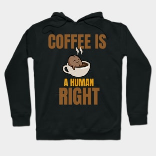 COFFEE IS A HUMAN RIGHT SHIRT Hoodie